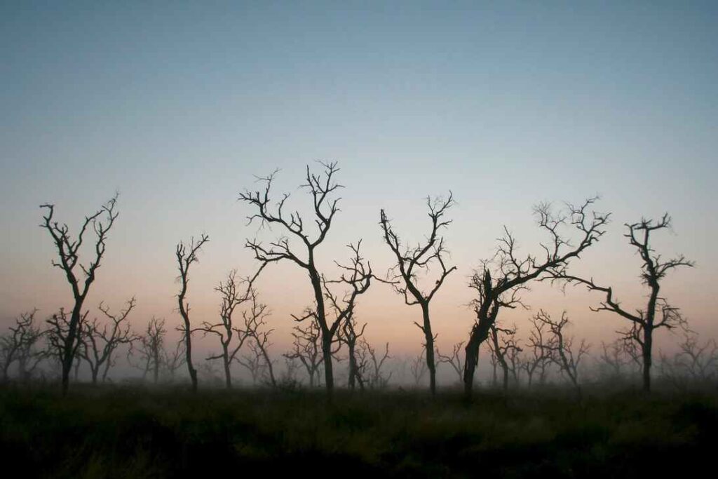 Deforestación en Colombia, un retroceso ambiental que enciende las alarmas 1 Pese a un marco normativo robusto, la falta de implementación, trazabilidad y judicialización de los delitos ambientales sigue siendo uno de los mayores retos para el país. Foto: Suministrada a Tuiteros Boyacá